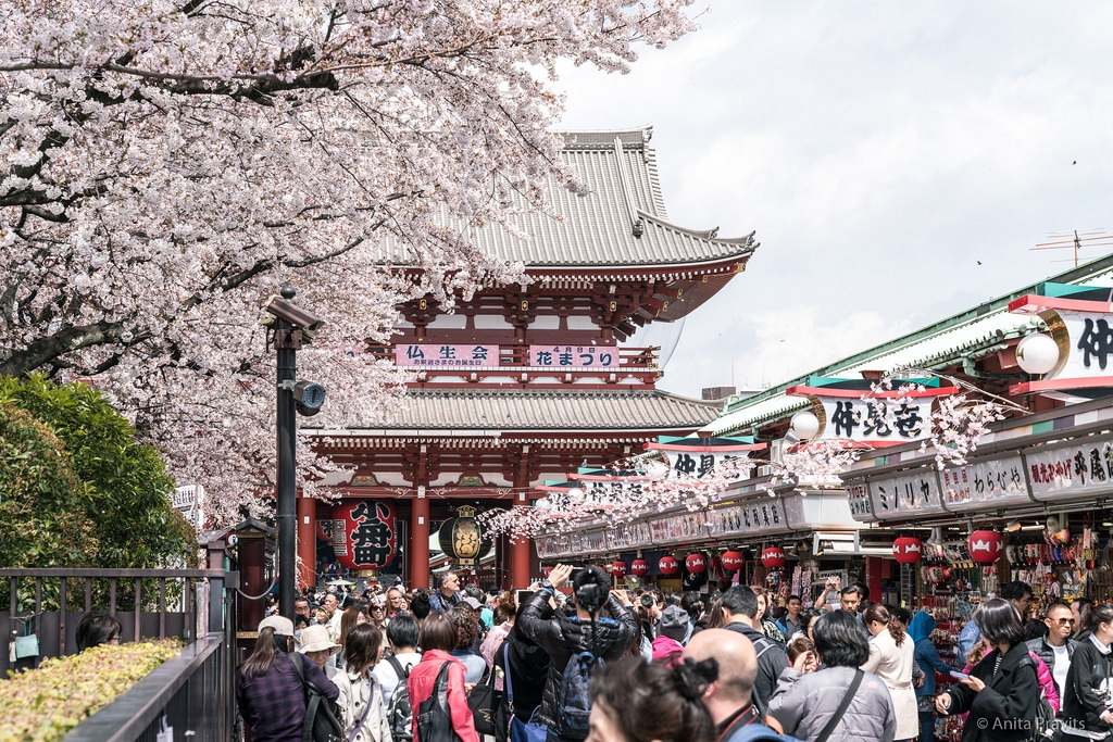 OSAKA – KOBE – KYOTO – NAGOYA –  NÚI PHÚ SĨ – TOKYO