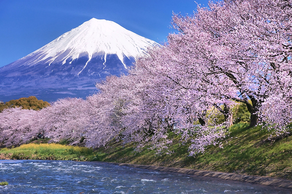 OSAKA – KOBE – KYOTO – NAGOYA –  NÚI PHÚ SĨ – TOKYO