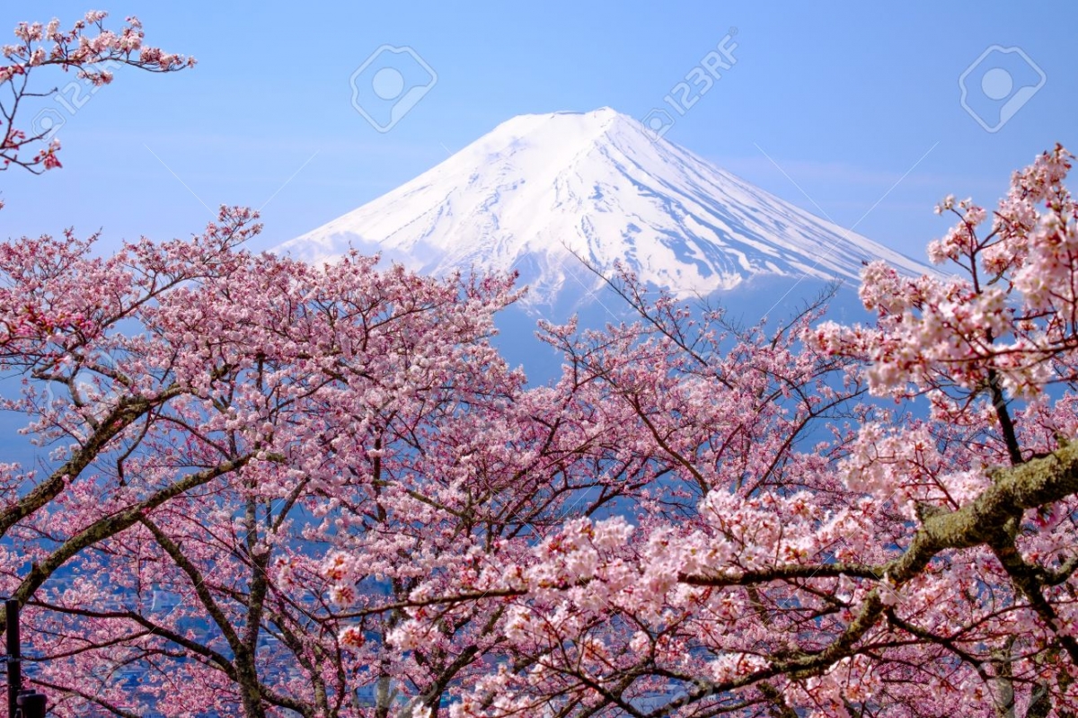 OSAKA – KOBE – KYOTO – NAGOYA –  NÚI PHÚ SĨ – TOKYO