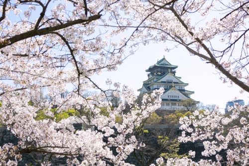 CHƯƠNG TRÌNH DU LỊCH  NHẬT BẢN MÙA HOA ANH ĐÀO  TOKYO – NÚI PHÚ SĨ – KYOTO – KOBE - OSAKA