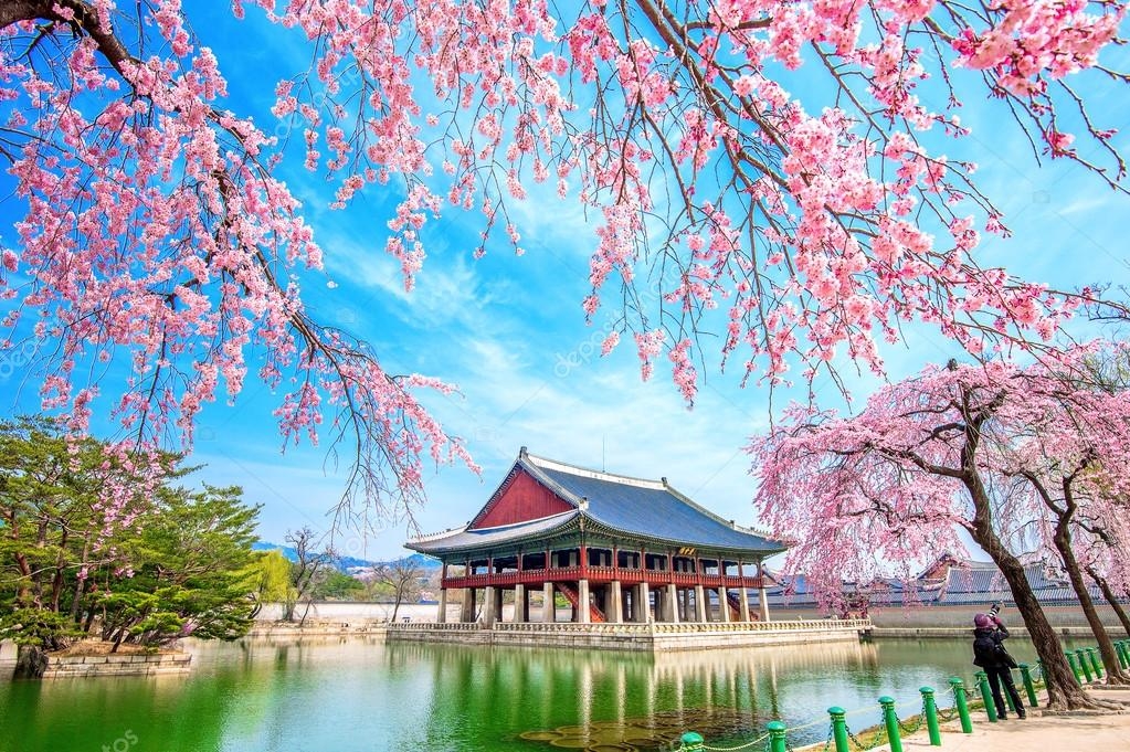 SEOUL - NAMI - EVERLAND (VIETNAM AIRLINES)