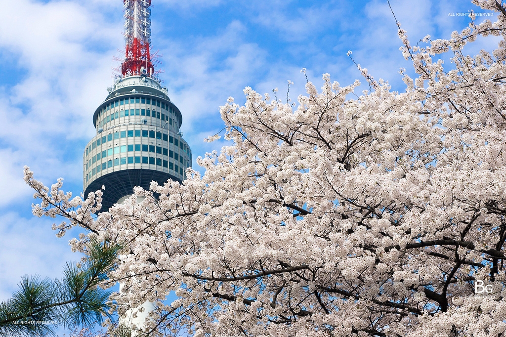 SEOUL - NAMI - EVERLAND (VIETNAM AIRLINES)